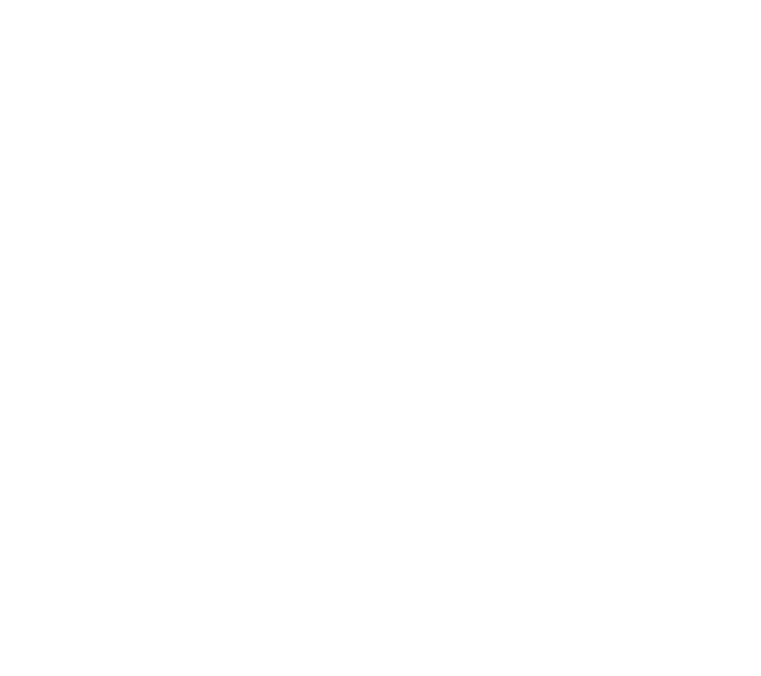 FoxOrtho Logo